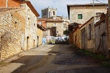 Calle